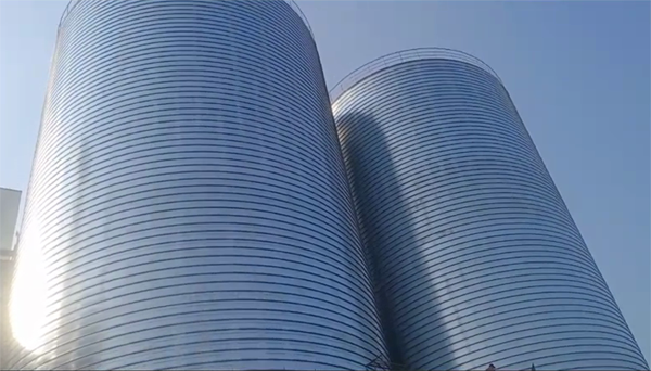 岚皋2座混凝土高架卷板仓